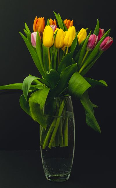 A tall, cylindrical glass vase filled with fresh tulips featuring a mix of vibrant yellow, pink, orange, and purple flowers. The tulips have smooth, rounded petals and sturdy green stems, with some bl